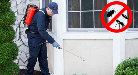 Sancaktepe Böcek İlaçlama böcek ilaçlama ve haşere kontrolü — ilaclama-tr.com